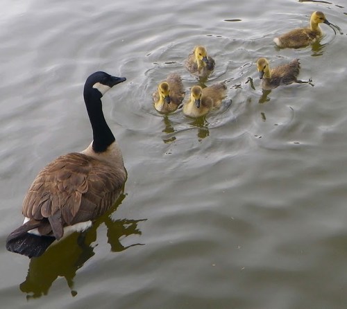 Youngsters 1 Youngsters 1