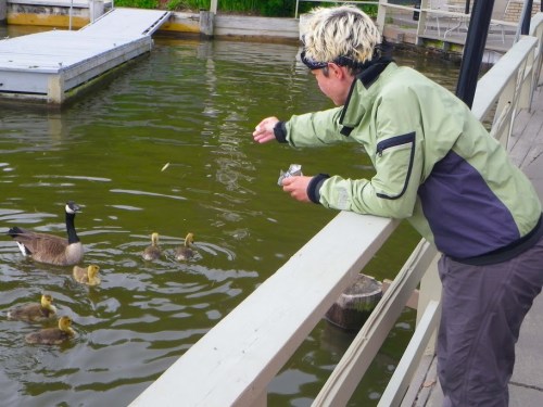 Youngsters 2 Youngsters 2