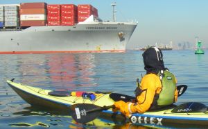 Shipping containers passing by in New York Harbor (photo by Vlad)
