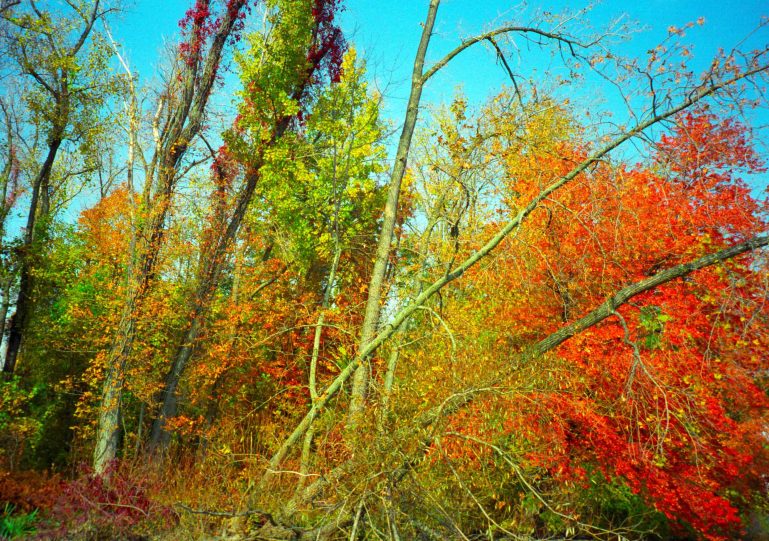 ... bend over the river...