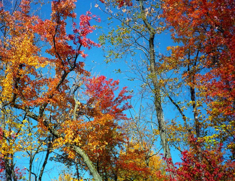 ... against the crystalline sky