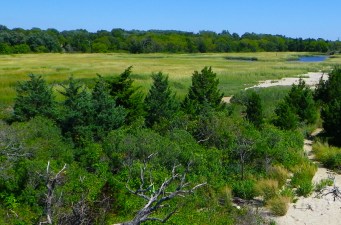 View over the salt marsh View over the salt marsh