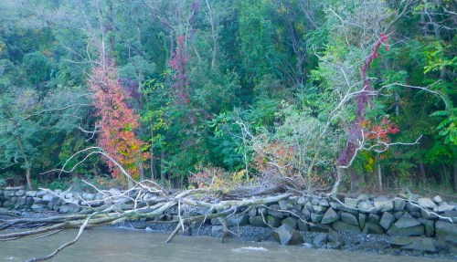 ... fire along the shore