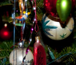 Christmas Tree Unlit 2