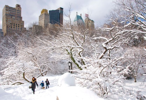 Central Park winter 4