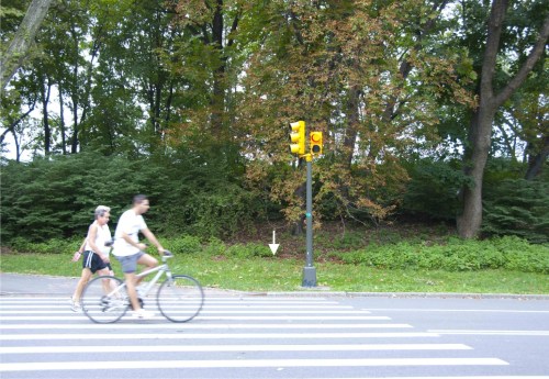 Our square meter of land