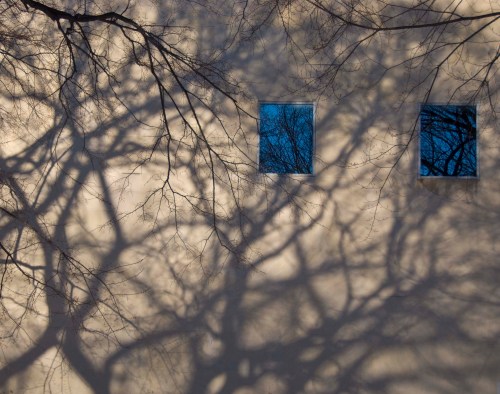 Shadows and reflections in Winter 2 Shadows and reflections in Winter 2