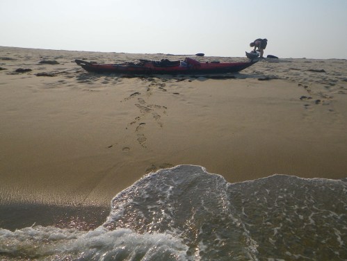 Monomoy "Island", Cape Cod, MA IMGP3704 cropped small