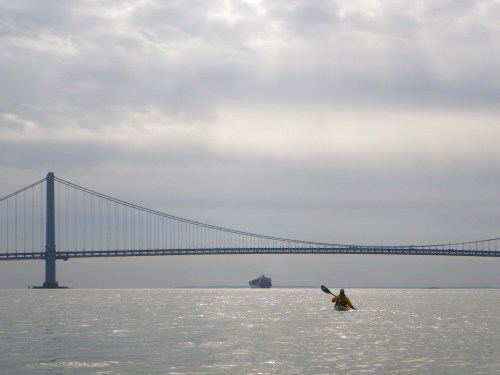 IMGP5040 cropped small