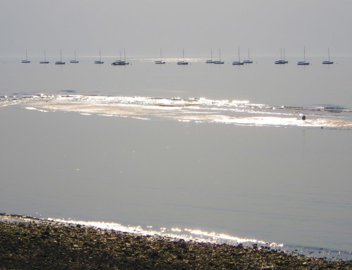 Shine 2 IMGP3539 cropped small