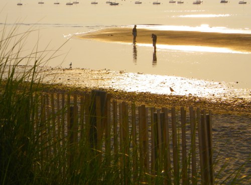 Shine 3 IMGP3599 cropped small