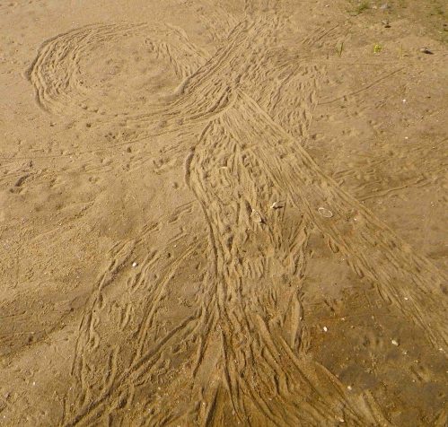 IMGP6141 cropped small