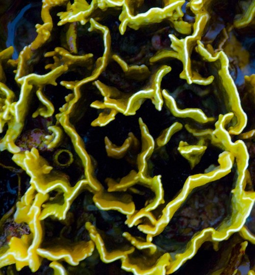 DSC_0754 cropped small