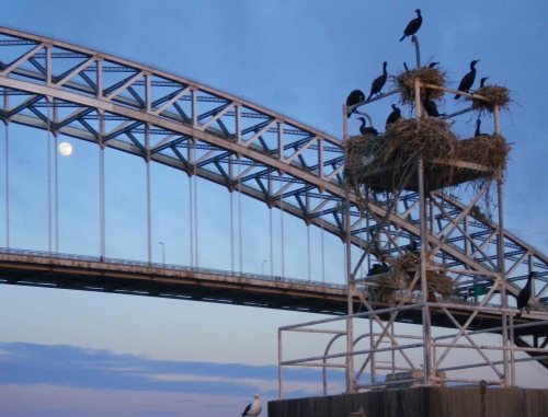 Bayonne Bridge, Kill van Kull, NY/NJ