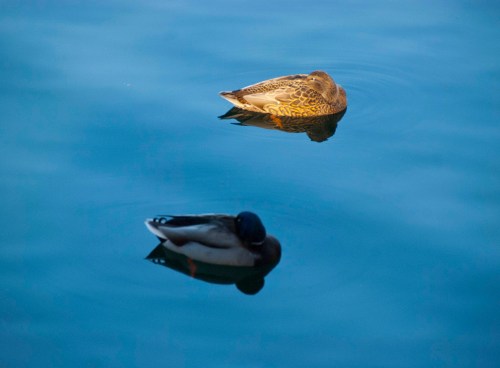 DSC_0146%2520cropped%2520small