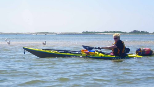 IMGP5078 cropped small