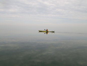 IMGP2195 cropped small