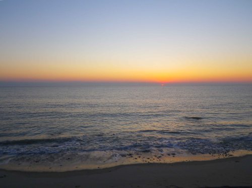 IMGP5809 cropped small