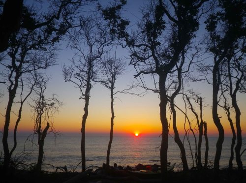 IMGP5822 cropped small