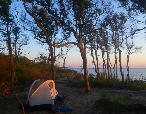 IMGP5839 cropped small