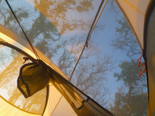 IMGP5867 cropped small