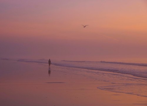 Amelia Island, FL DSC_0025 cropped small
