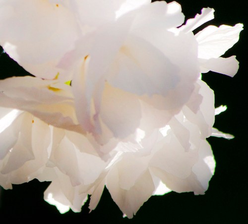 ... catch the evening light