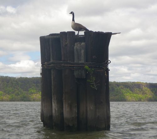 Spring on the Hudson