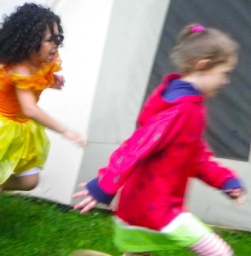 IMGP3110 cropped small