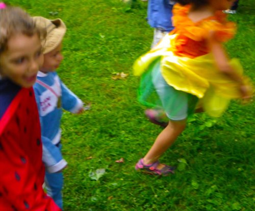 IMGP3114 cropped small