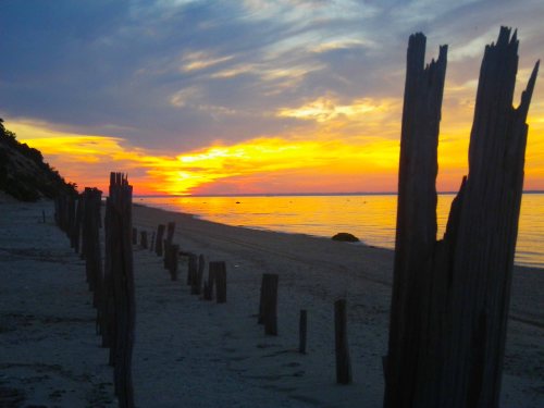 The dry strip with pilings
