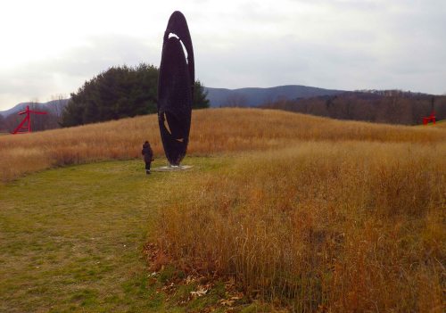 IMGP0224 cropped small