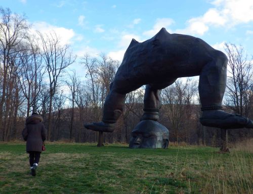 IMGP0334 cropped small