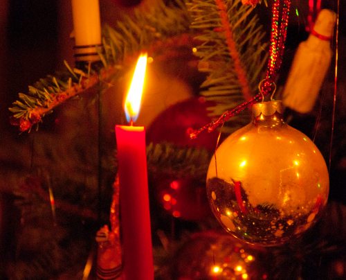 DSC_0037 cropped small