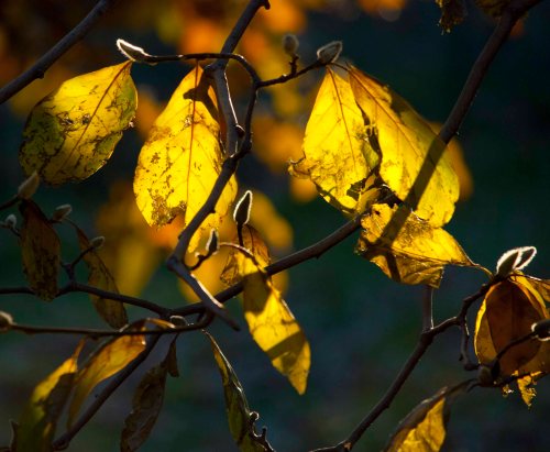 Old & New 1 DSC_0066 cropped small