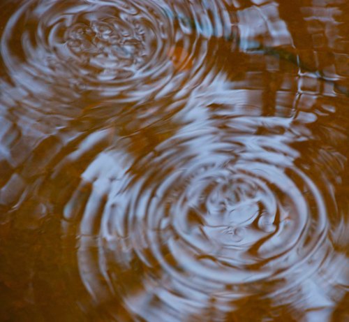 DSC_0083 cropped small