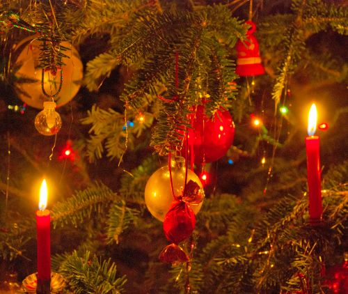 DSC_0091 cropped small