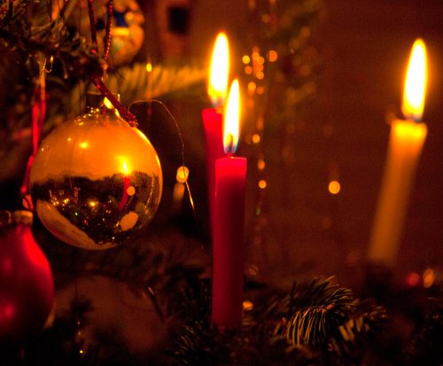 DSC_0103 cropped small