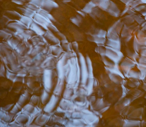 DSC_0111 cropped small 2