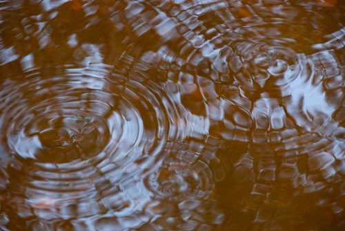 DSC_0112 cropped small