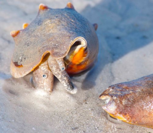 DSC_0118 cropped small