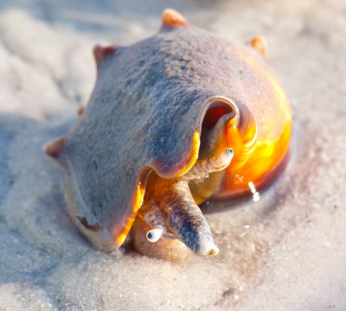 DSC_0158 cropped small