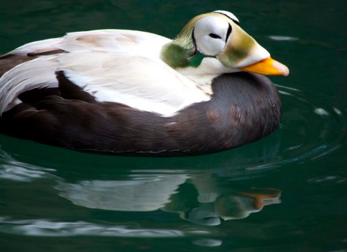 DSC_0167 cropped small