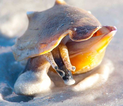 DSC_0183 cropped small