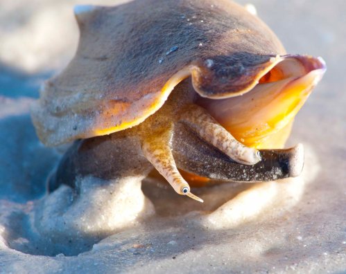 DSC_0188 cropped small