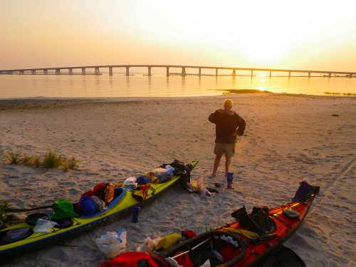 ... but we drink coffee instead IMGP5464 cropped small