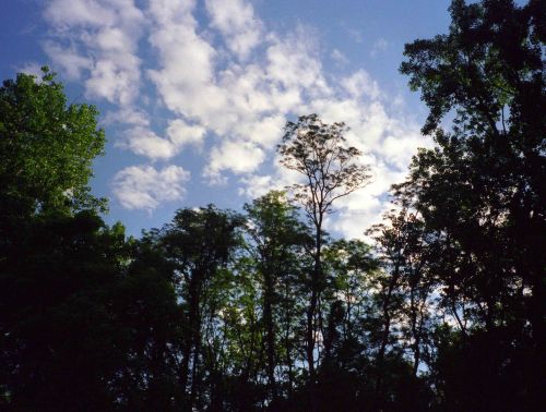 00758_n_10afatqsq30758%2520cropped%2520small