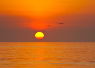 A new day DSC_0107 cropped small