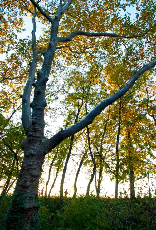 DSC_0149 cropped small