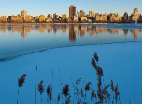 DSC_0166 cropped small